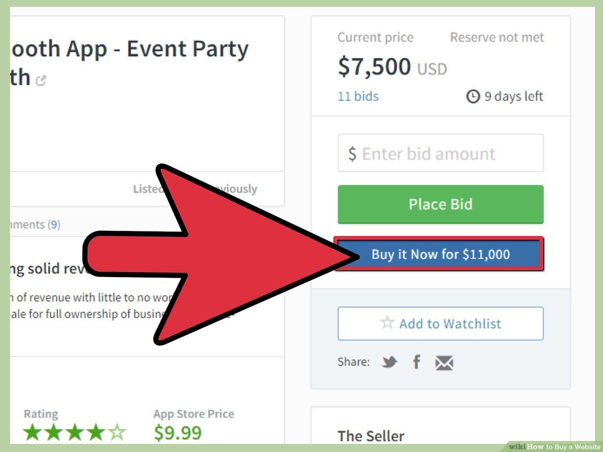 buy an online business