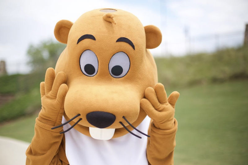 sports mascot design