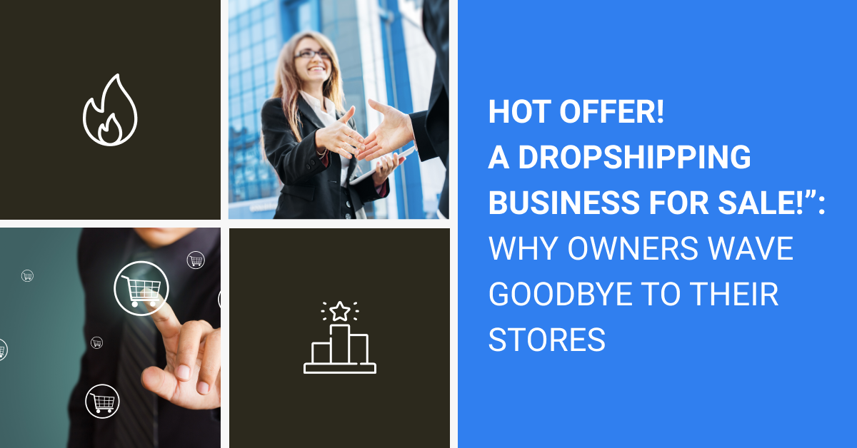 buy dropshipping business