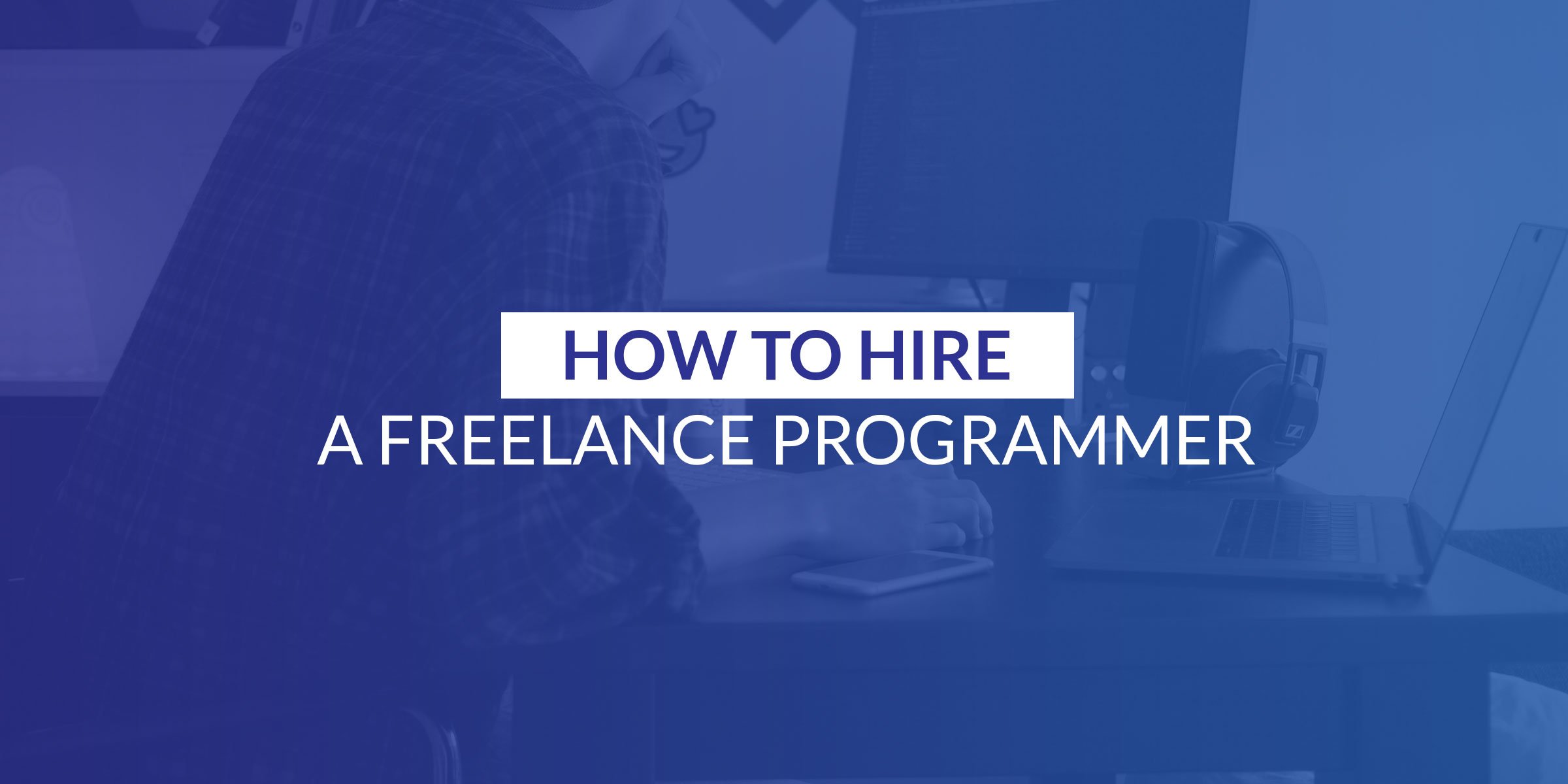 find freelance programmer