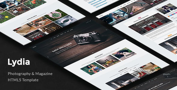 ThemeForest item not as described refund