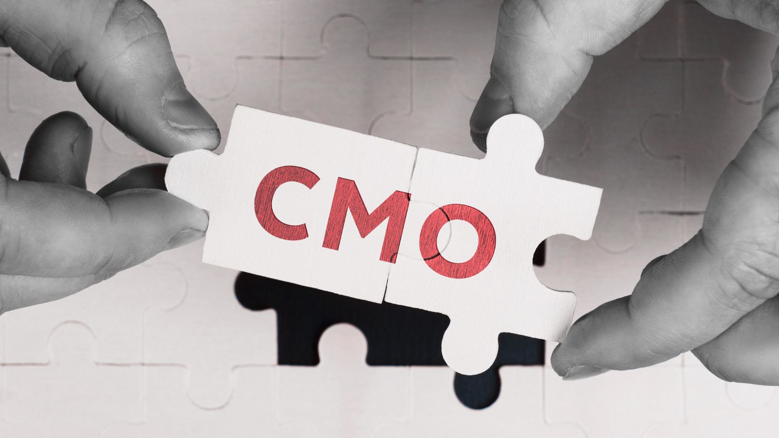 hire a fractional cmo