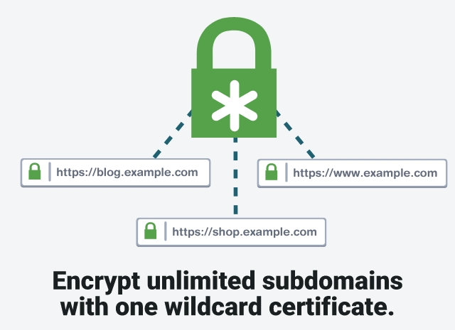 Wildcard TLS certificate