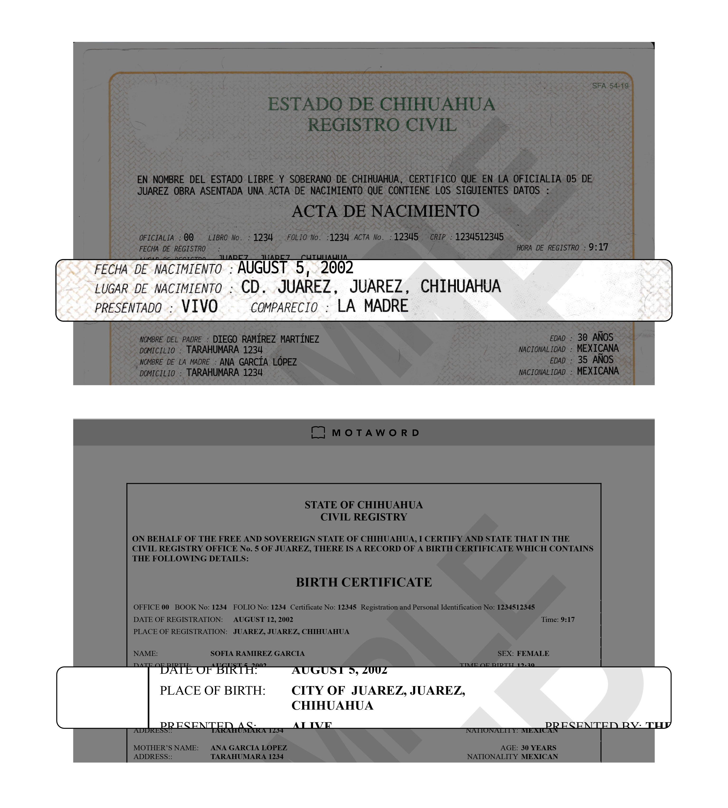 how to translate a birth certificate