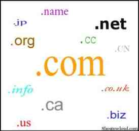 Dropped Domains