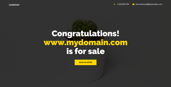 domain registrar