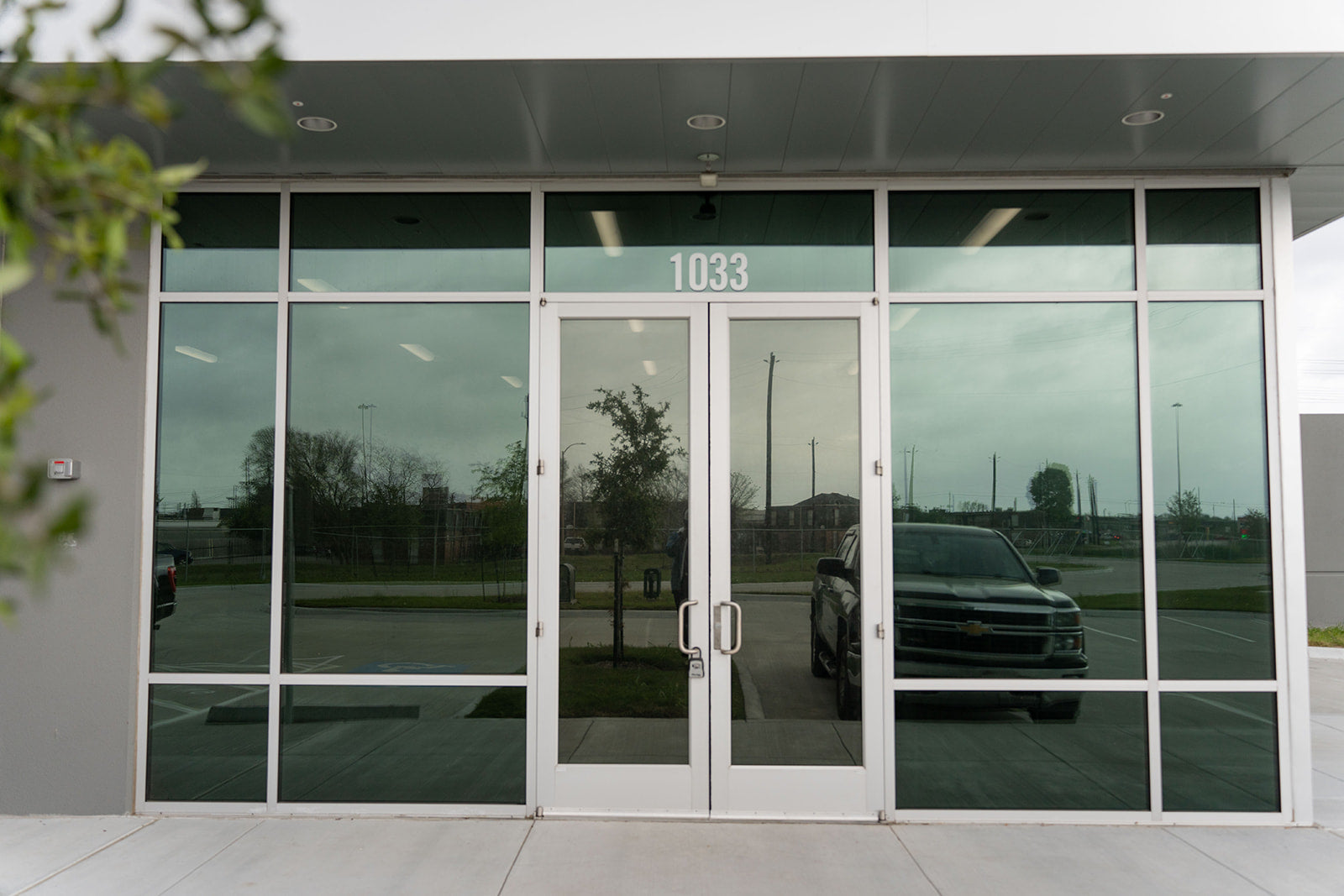 business window film