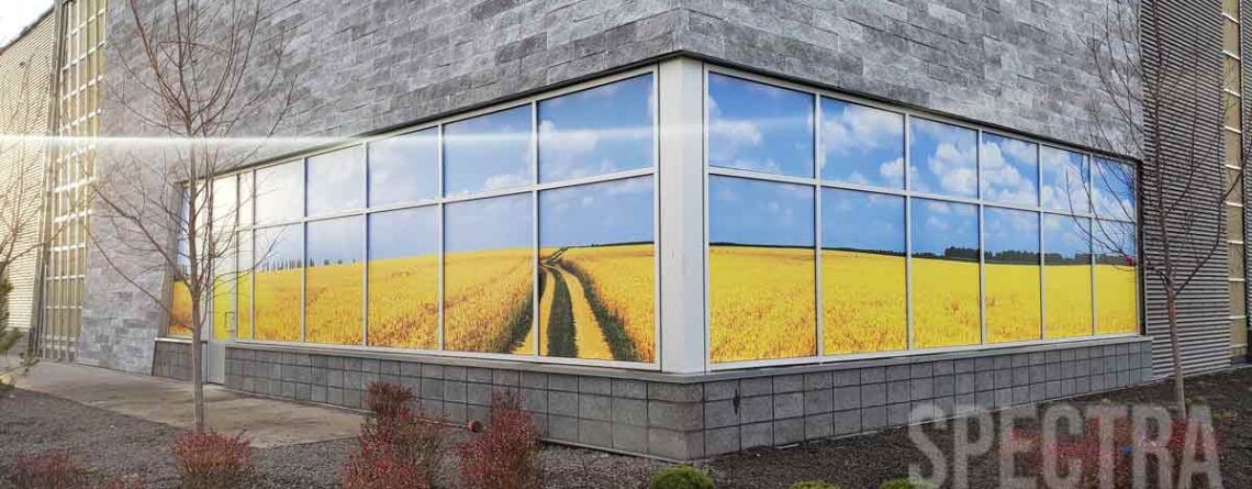 commercial window tinting