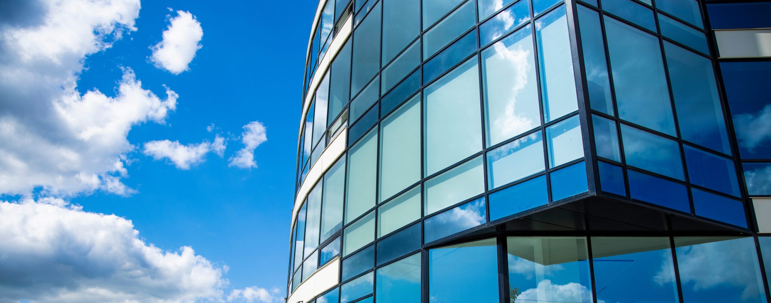 storefront window film