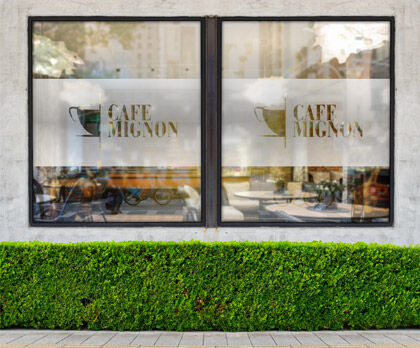 one way vision graphics